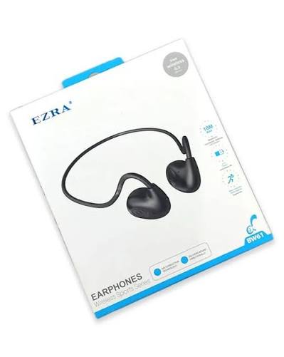 BW61 WIRELESS EARPHONE - Image 3
