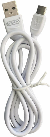 DC19 TYPE-C DATA CABLE